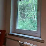 Sternschnuppe, Treseburg Harz, Unmittelbar Am Wasser * Thale