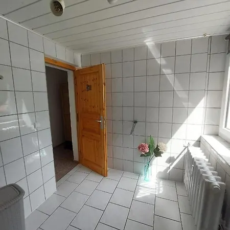 Sternschnuppe, Treseburg Harz, Unmittelbar Am Wasser