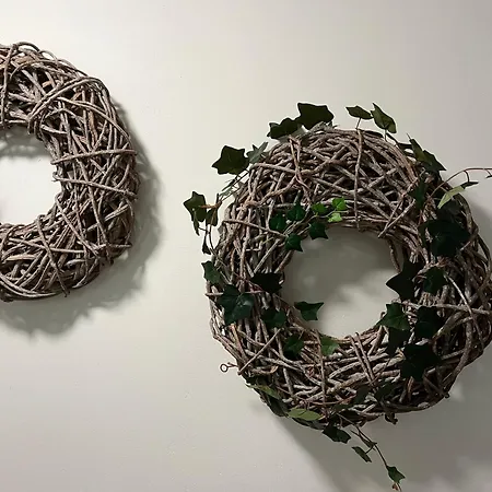 Sternschnuppe, Treseburg Harz, Unmittelbar Am Wasser