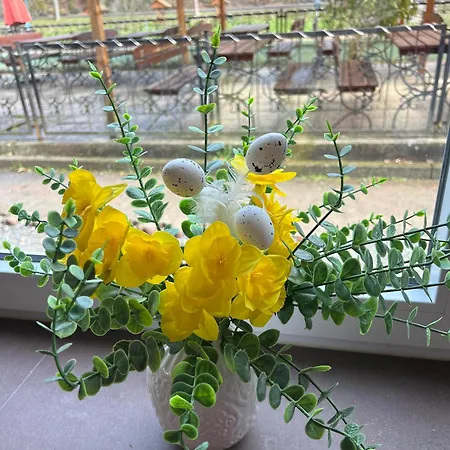 Πανσιόν Sternschnuppe, Treseburg Harz, Unmittelbar Am Wasser *