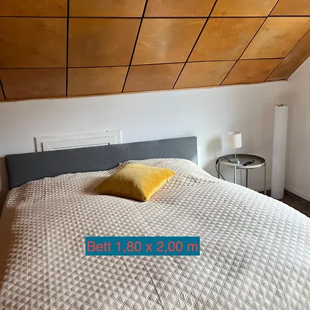 Sternschnuppe, Treseburg Harz, Unmittelbar Am Wasser