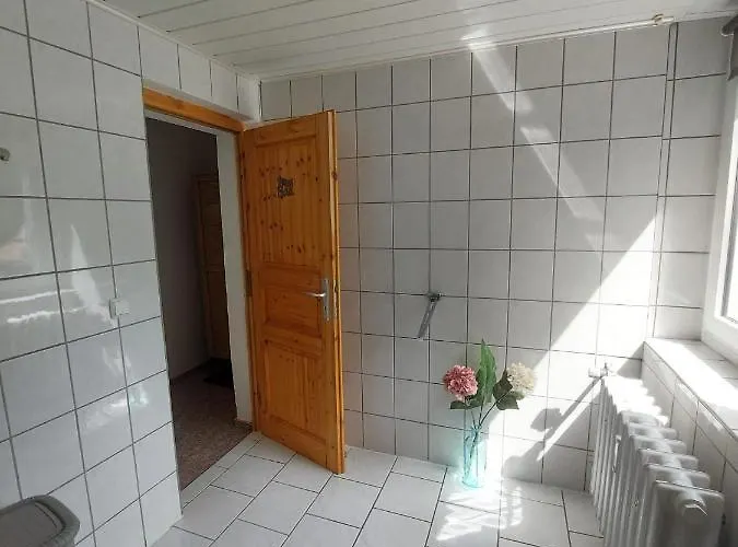 Sternschnuppe, Treseburg Harz, Unmittelbar Am Wasser