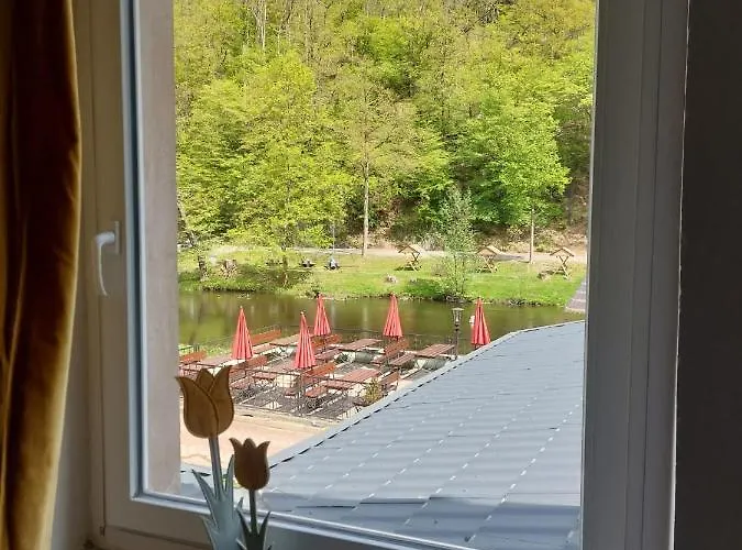 Sternschnuppe, Treseburg Harz, Unmittelbar Am Wasser Pensionat Thale