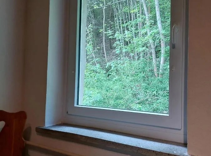 Sternschnuppe, Treseburg Harz, Unmittelbar Am Wasser * Thale