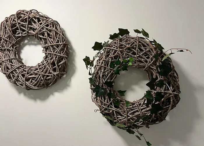 Sternschnuppe, Treseburg Harz, Unmittelbar Am Wasser