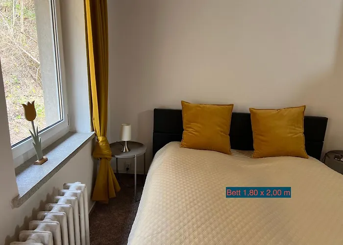 Sternschnuppe, Treseburg Harz, Unmittelbar Am Wasser Pensionat *