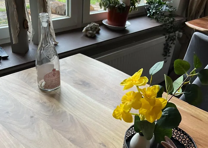 Sternschnuppe, Treseburg Harz, Unmittelbar Am Wasser * Thale