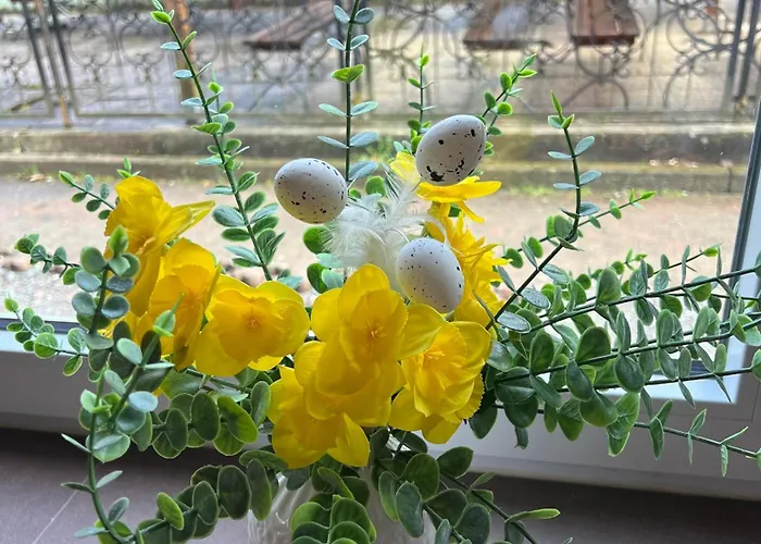 Πανσιόν Sternschnuppe, Treseburg Harz, Unmittelbar Am Wasser *