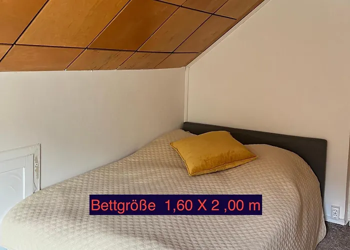 Πανσιόν Sternschnuppe, Treseburg Harz, Unmittelbar Am Wasser