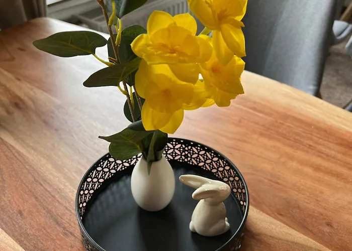 Sternschnuppe, Treseburg Harz, Unmittelbar Am Wasser Thale