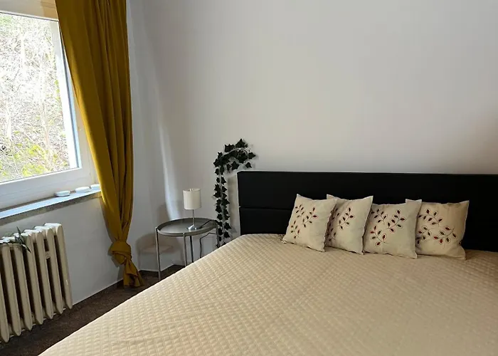 Sternschnuppe, Treseburg Harz, Unmittelbar Am Wasser *