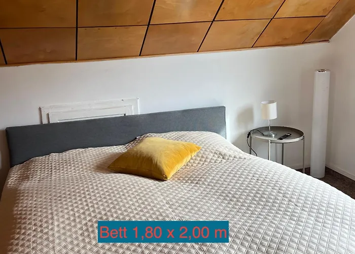 Sternschnuppe, Treseburg Harz, Unmittelbar Am Wasser