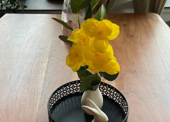 Sternschnuppe, Treseburg Harz, Unmittelbar Am Wasser Πανσιόν *